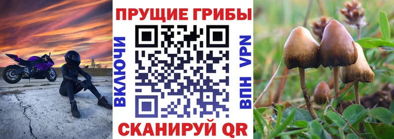 OMG ссылка  Олёкминск  Псилоцибиновые грибы прущие грибы 